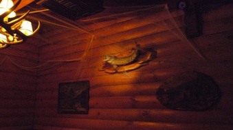 Enlarge photo 26
