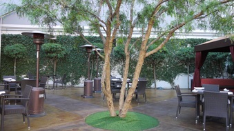Enlarge photo 43