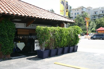 Enlarge photo 15