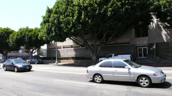 Enlarge photo 14