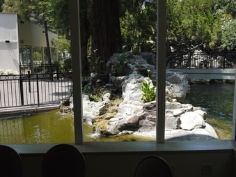 Enlarge photo 6