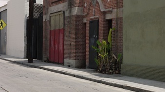 Enlarge photo 49