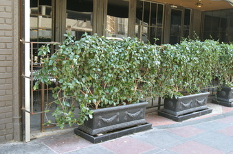 Enlarge photo 22