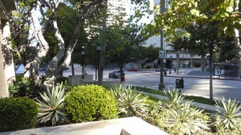 Enlarge photo 20