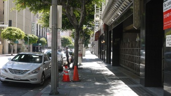 Enlarge photo 30