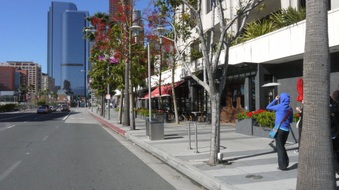 Enlarge photo 8
