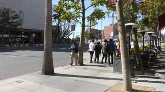 Enlarge photo 21