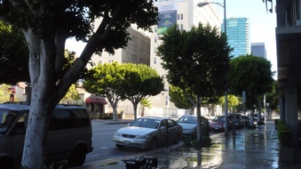 Enlarge photo 33