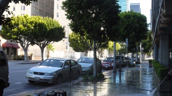 Enlarge photo 34