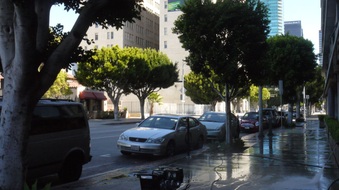 Enlarge photo 35