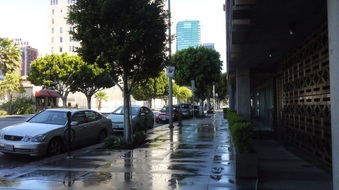 Enlarge photo 51