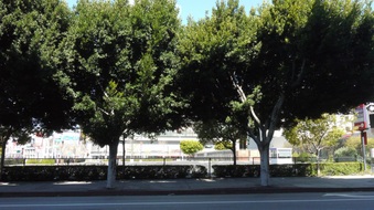 Enlarge photo 65