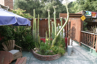 Enlarge photo 41