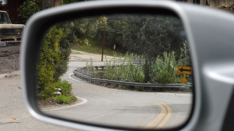 Enlarge photo 50