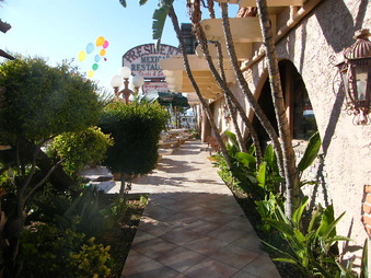 Enlarge photo 39