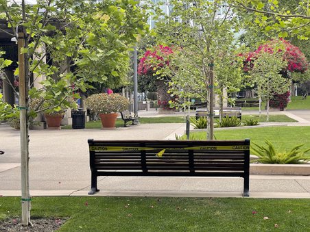 GRAND HOPE PARK