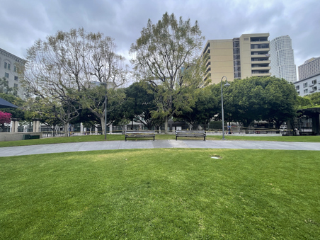 Enlarge photo 24