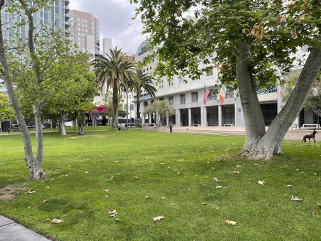 Enlarge photo 28