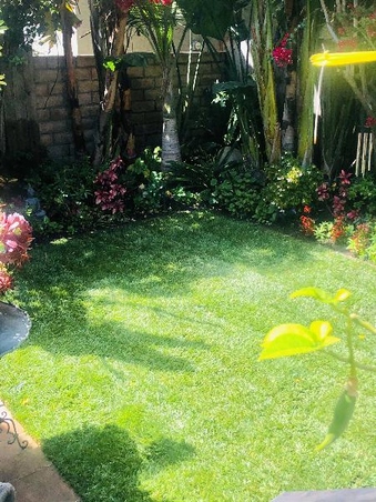 Enlarge photo 27