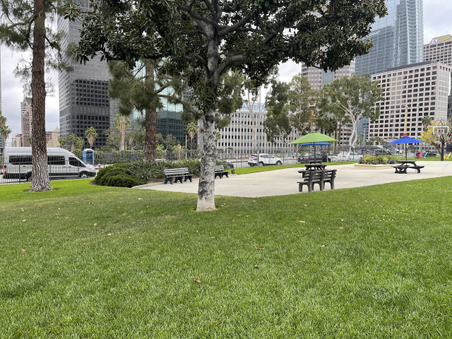 Enlarge photo 5