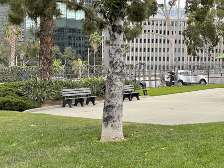 Enlarge photo 6