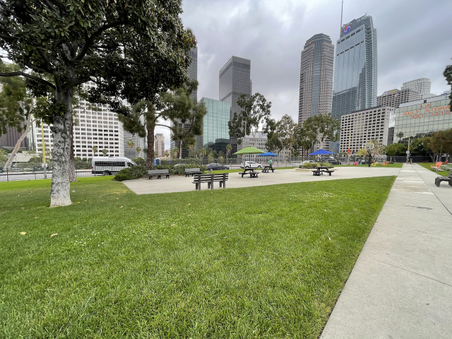 Enlarge photo 34