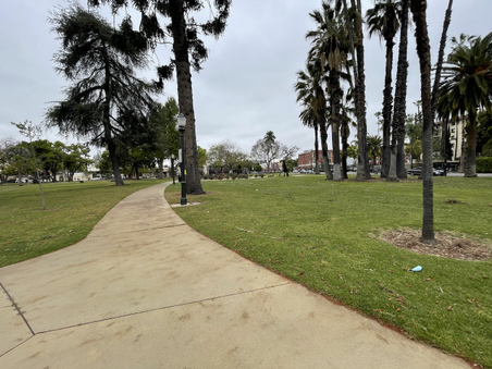 Enlarge photo 2
