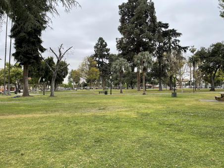 Enlarge photo 10