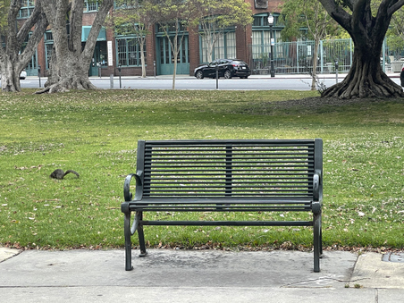Enlarge photo 26