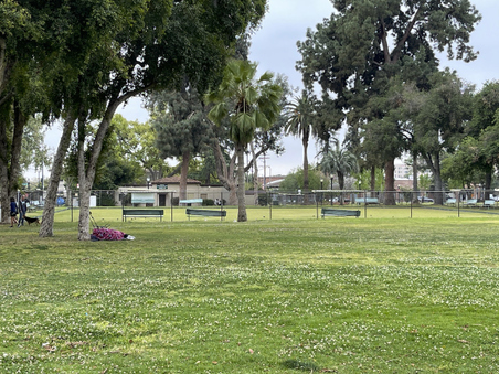 Enlarge photo 28
