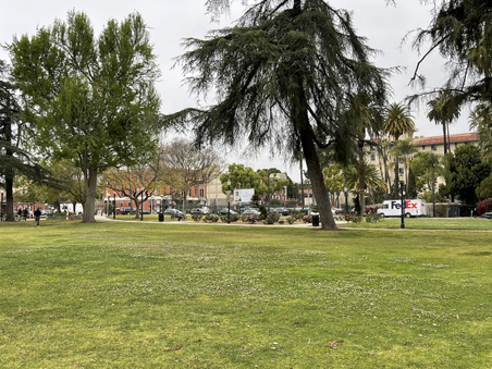Enlarge photo 31
