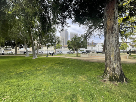 Enlarge photo 17