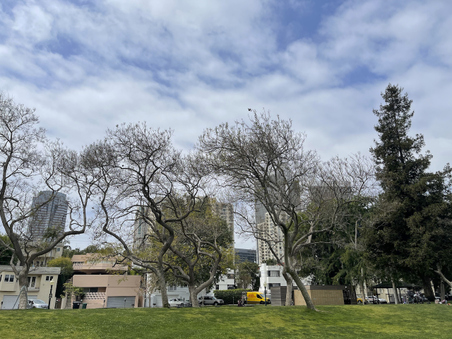 Enlarge photo 19