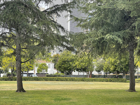 Enlarge photo 30