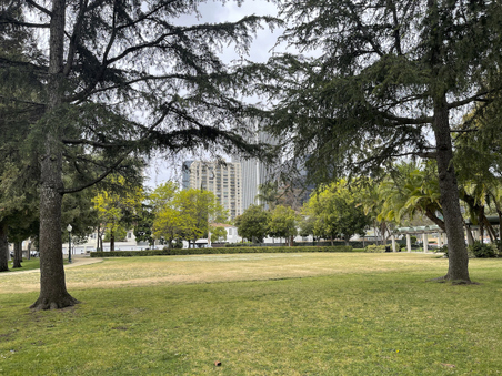Enlarge photo 31