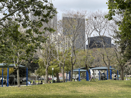 Enlarge photo 41
