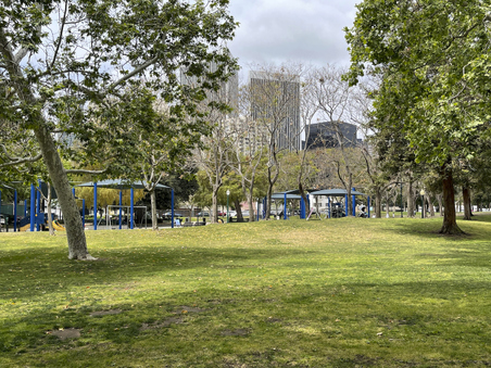 Enlarge photo 42