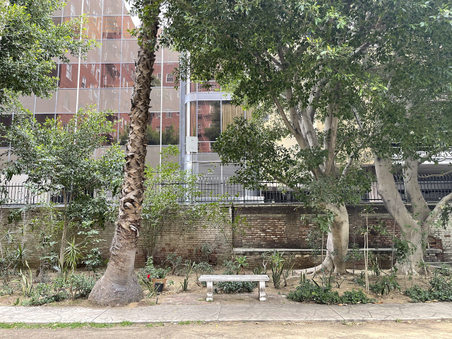 Enlarge photo 12