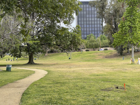 WEDDINGTON PARK SOUTH