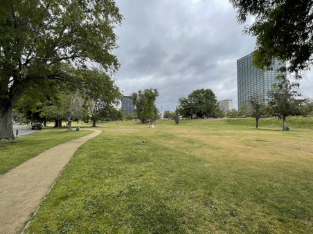 Enlarge photo 21