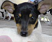 Enlarge photo 33