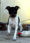 Enlarge photo 31