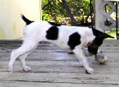 Enlarge photo 27