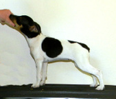 Enlarge photo 35