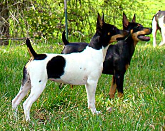 Enlarge photo 30
