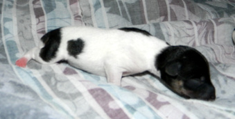 Enlarge photo 32