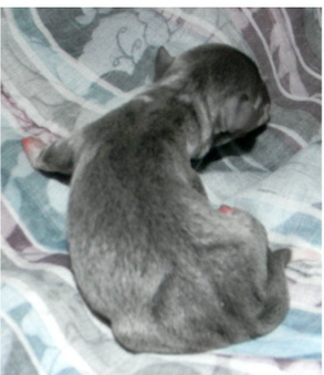 Enlarge photo 37