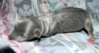 Enlarge photo 36