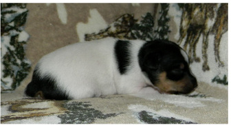 Enlarge photo 7
