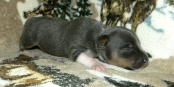 Enlarge photo 17